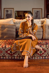 URGE-2PC DHANAK EMBROIDERED SHIRT AND EMBROIDRED SLEEVES-ADR-134