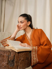 IZEL-2PIECE DHANAK EMBROIDERED SHIRT WITH DHANAK EMB SLEEVES-ADR-15082